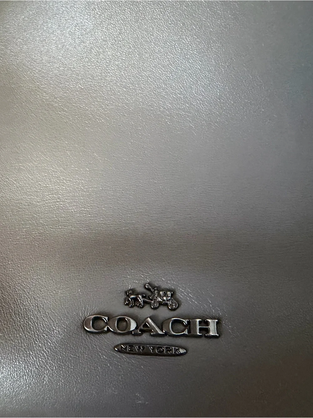 Coach single strap